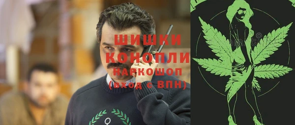 МДПВ Елабуга