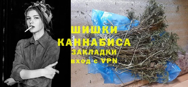 МДПВ Елабуга