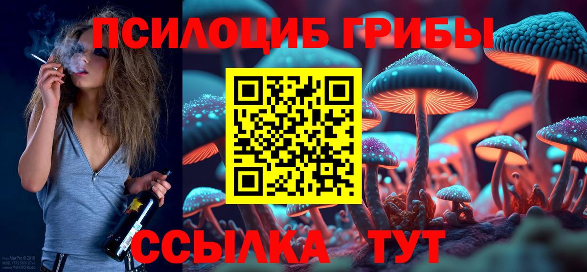 Псилоцибиновые грибы ЛСД Ставрополь