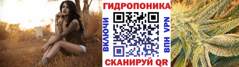Бошки марихуана марихуана Ставрополь