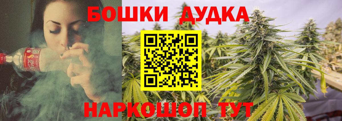 Шишки марихуана марихуана Ставрополь